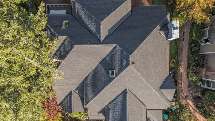 Roof Mold in Portland: Start by Finding the Moisture Source