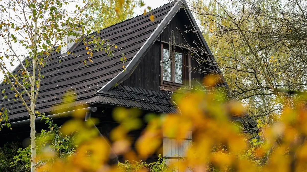 An Autumn Roof Check for Leaves, Wind, and Rain